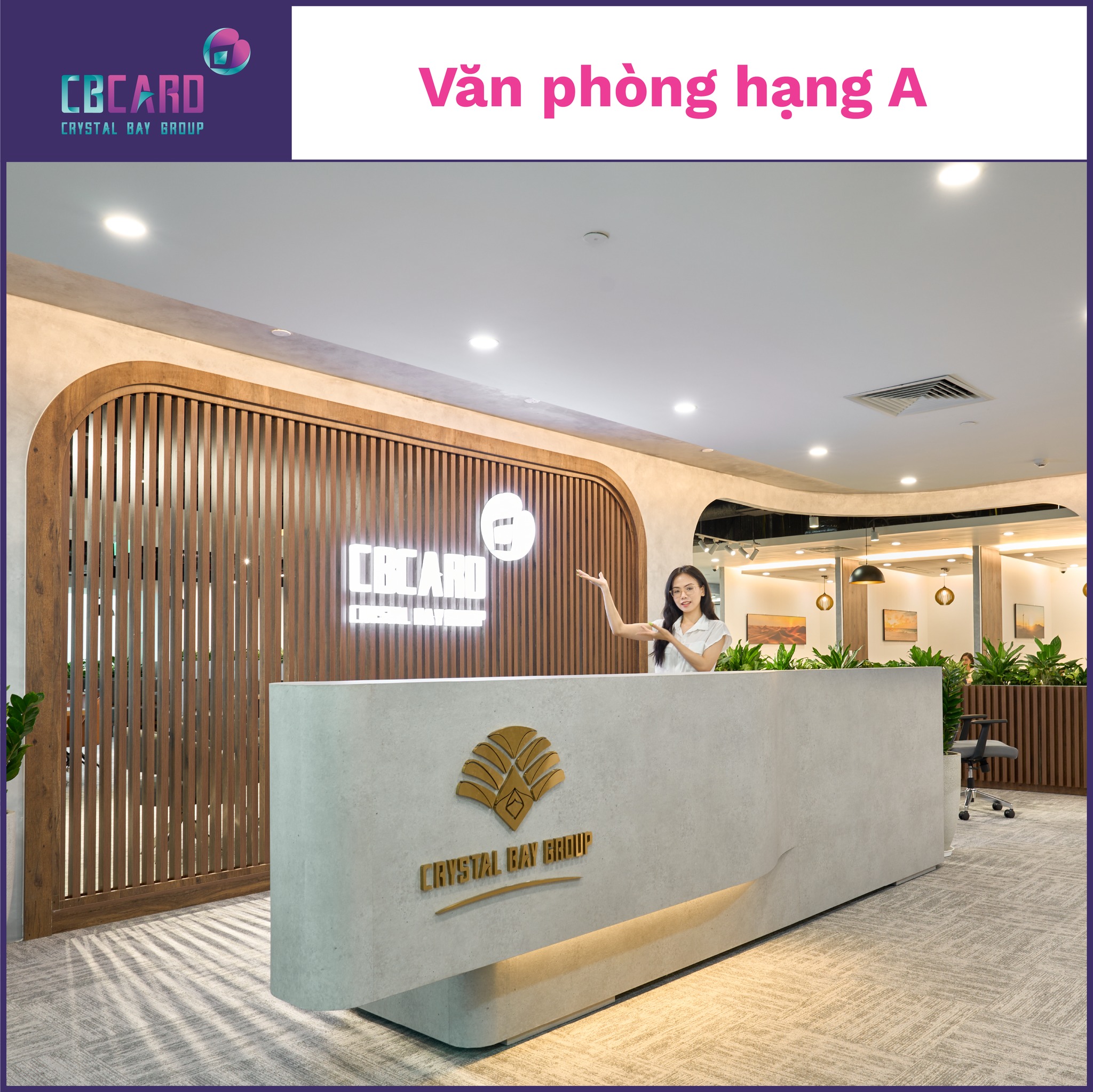 lĩnh vực hoạt động