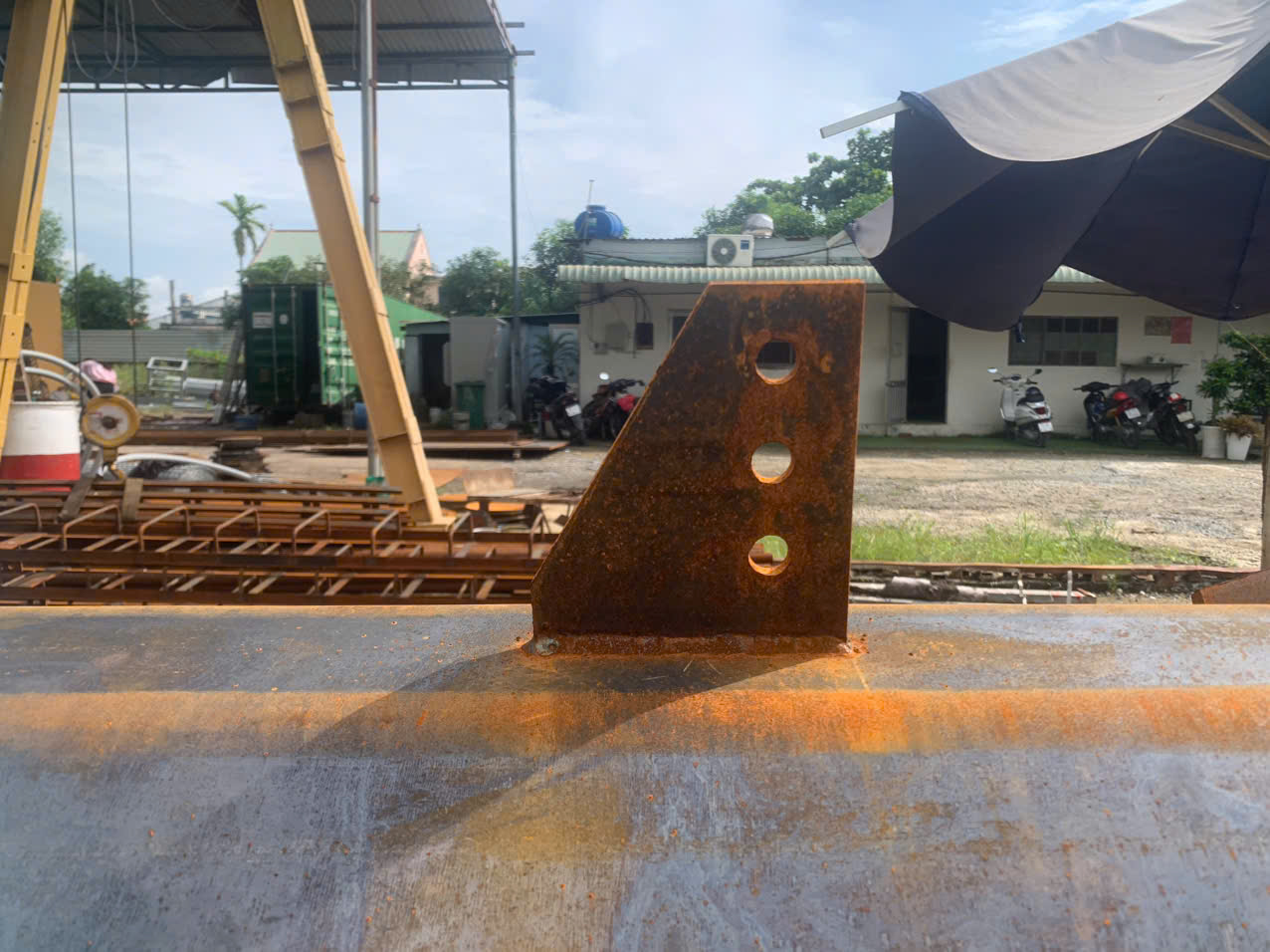 lĩnh vực hoạt động