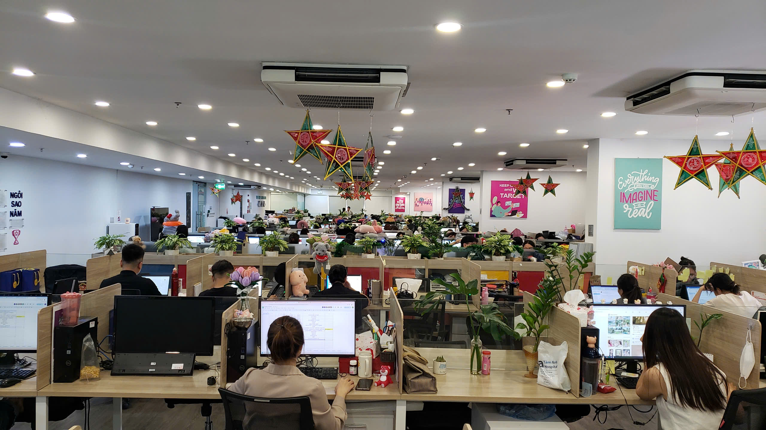 lĩnh vực hoạt động
