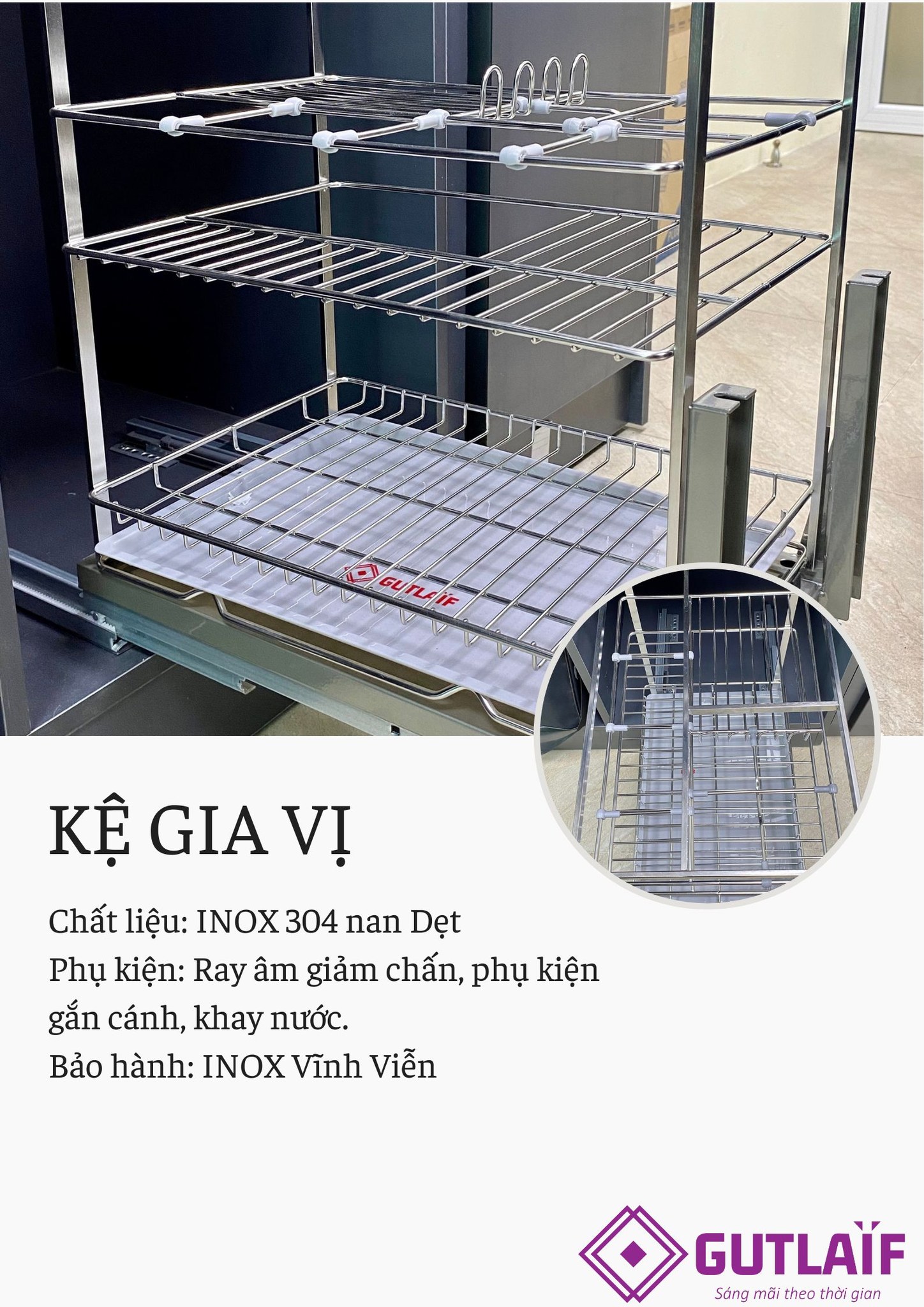 lĩnh vực hoạt động
