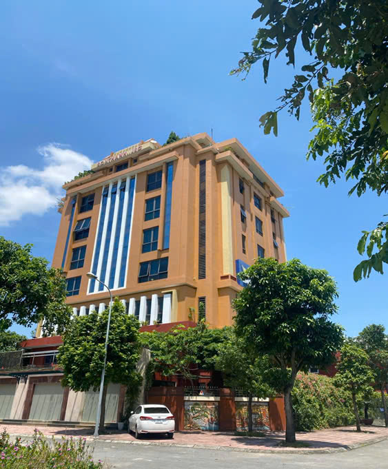 lĩnh vực hoạt động