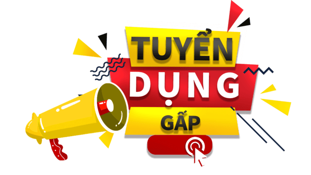 lĩnh vực hoạt động