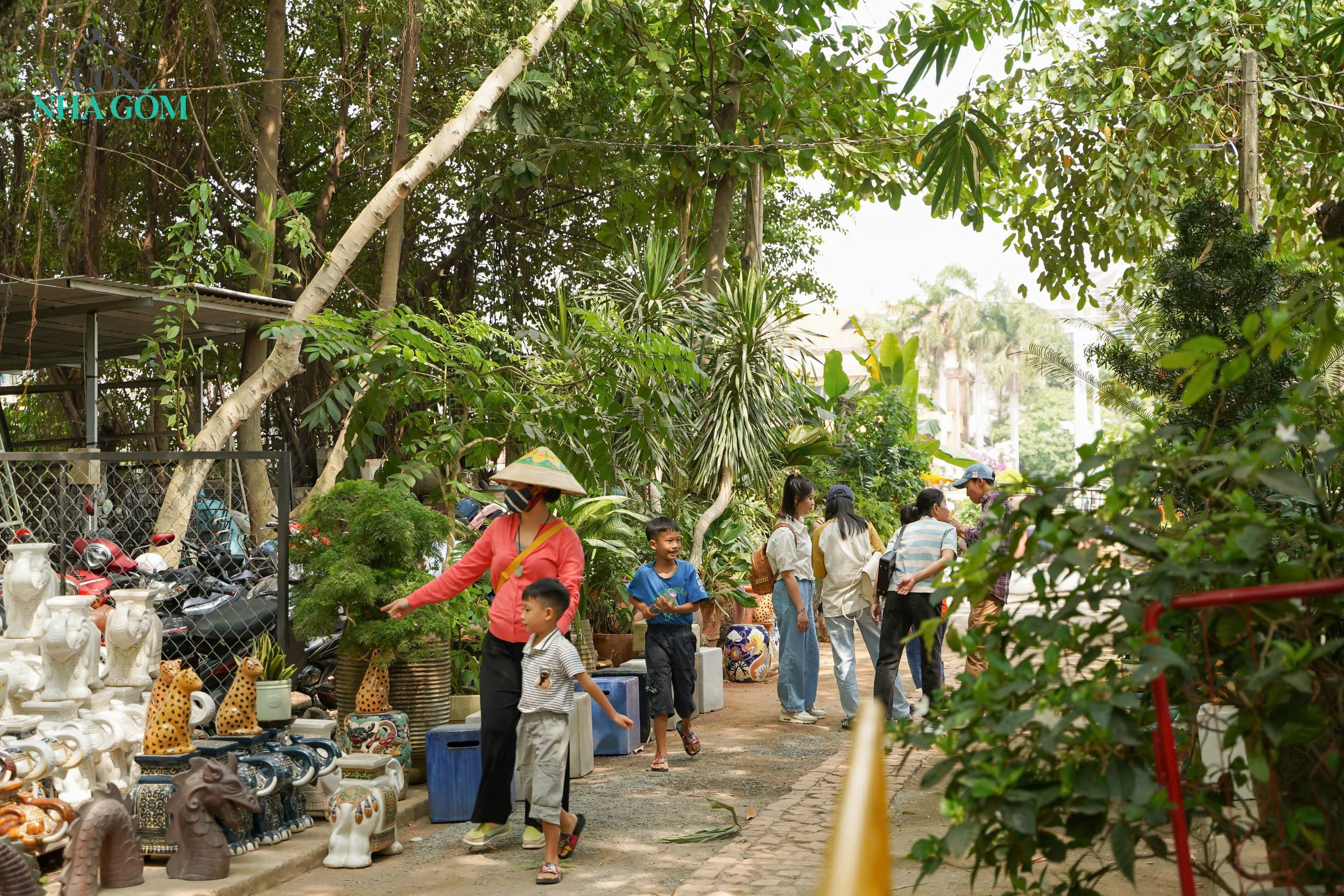 lĩnh vực hoạt động