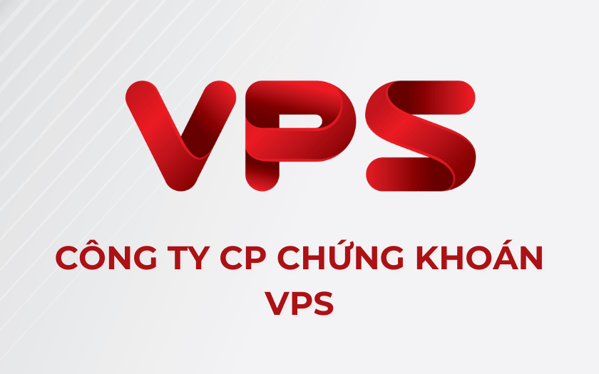 lĩnh vực hoạt động