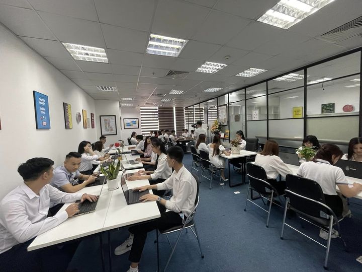 lĩnh vực hoạt động