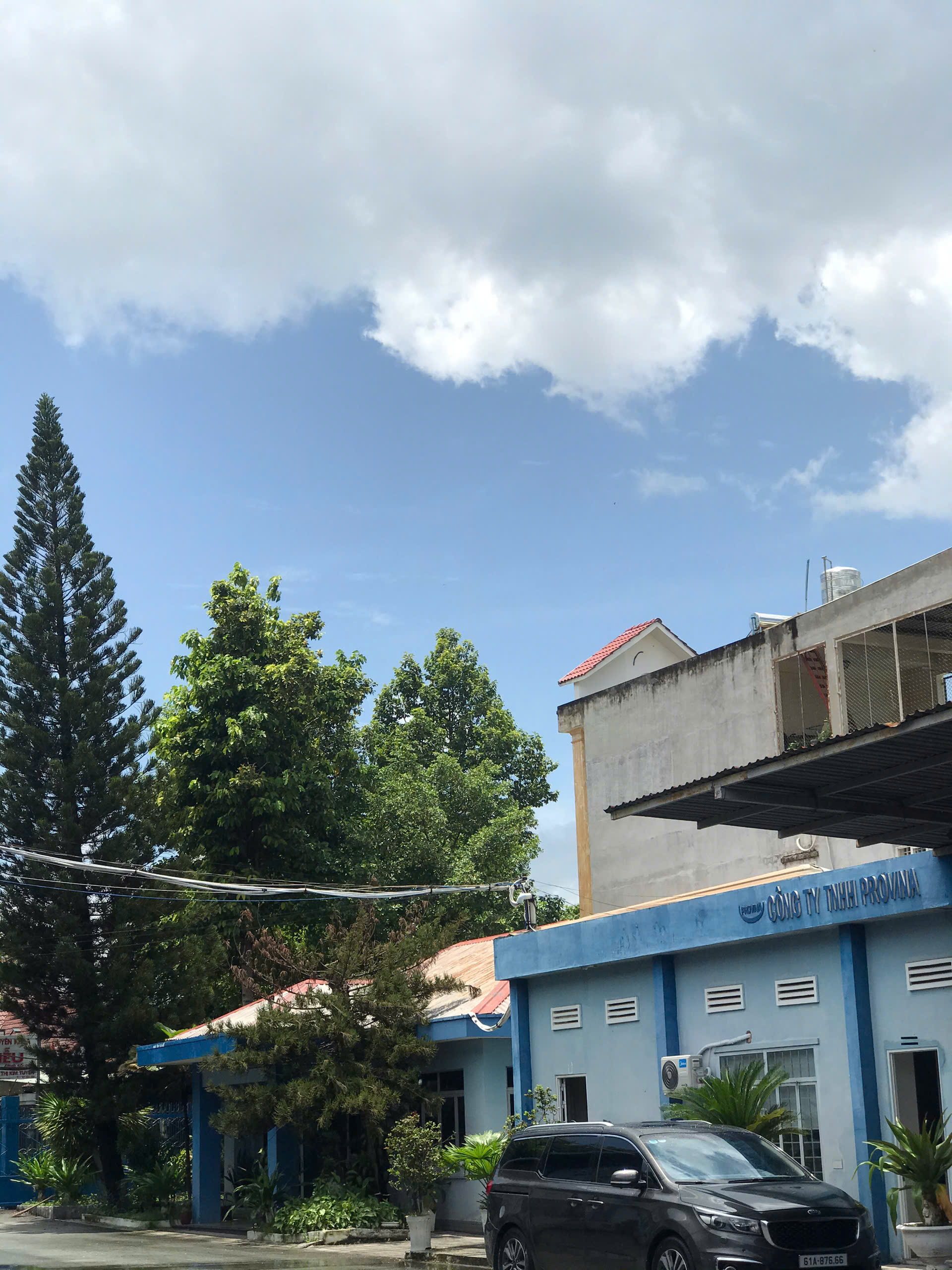 lĩnh vực hoạt động