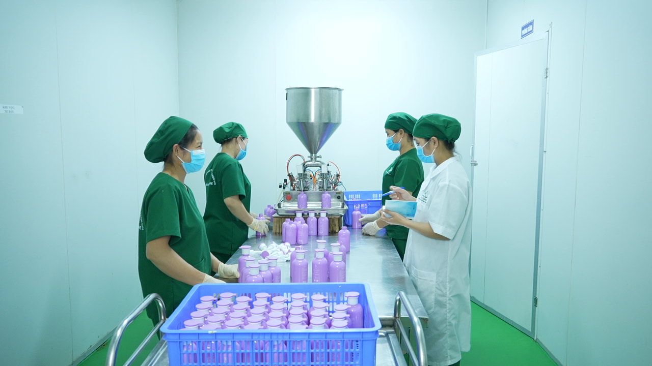 lĩnh vực hoạt động