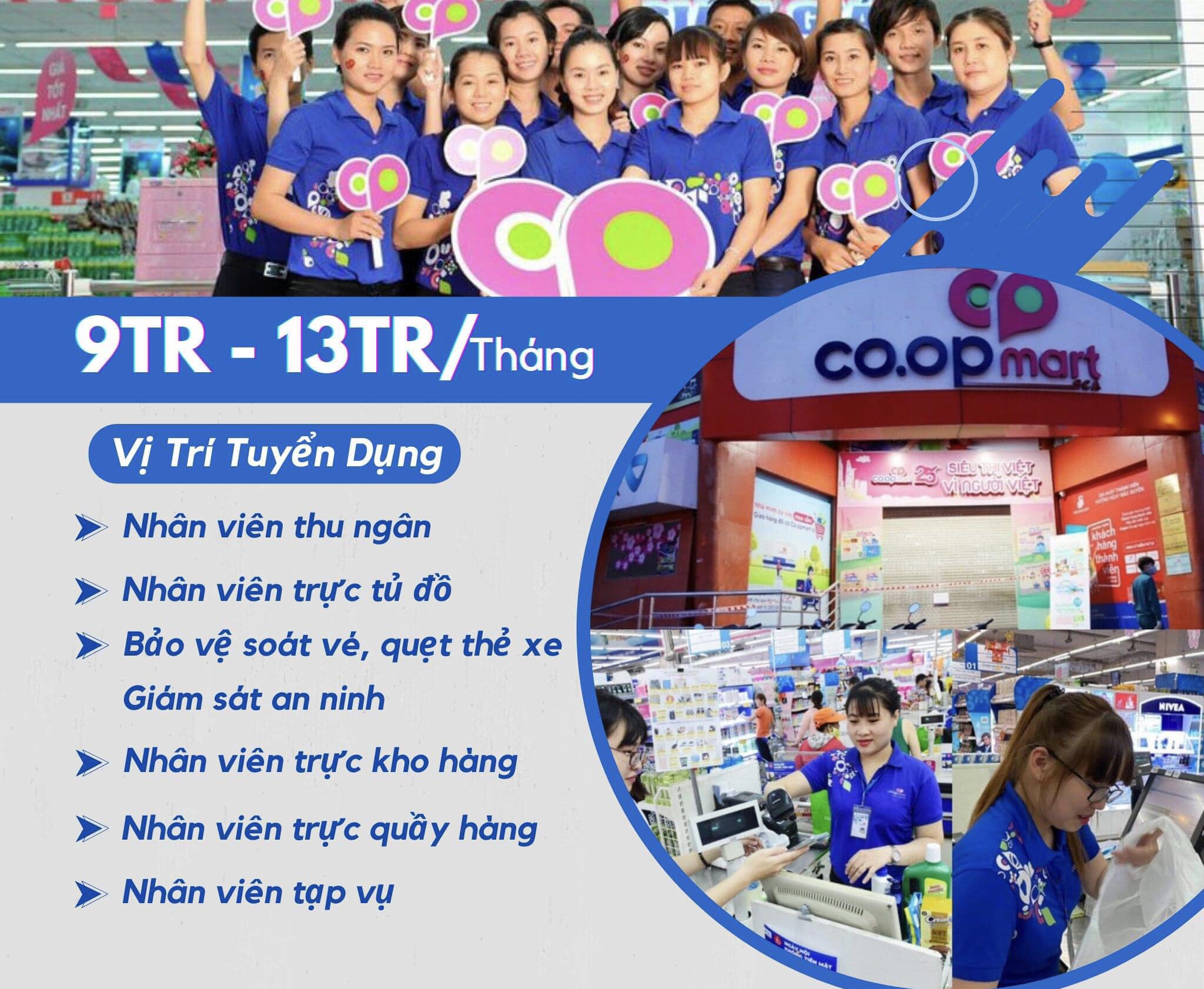 lĩnh vực hoạt động