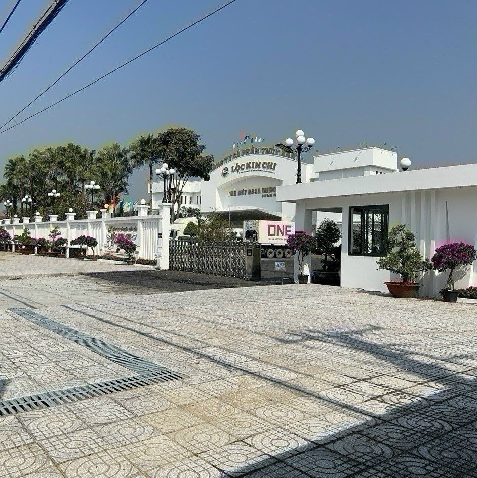lĩnh vực hoạt động