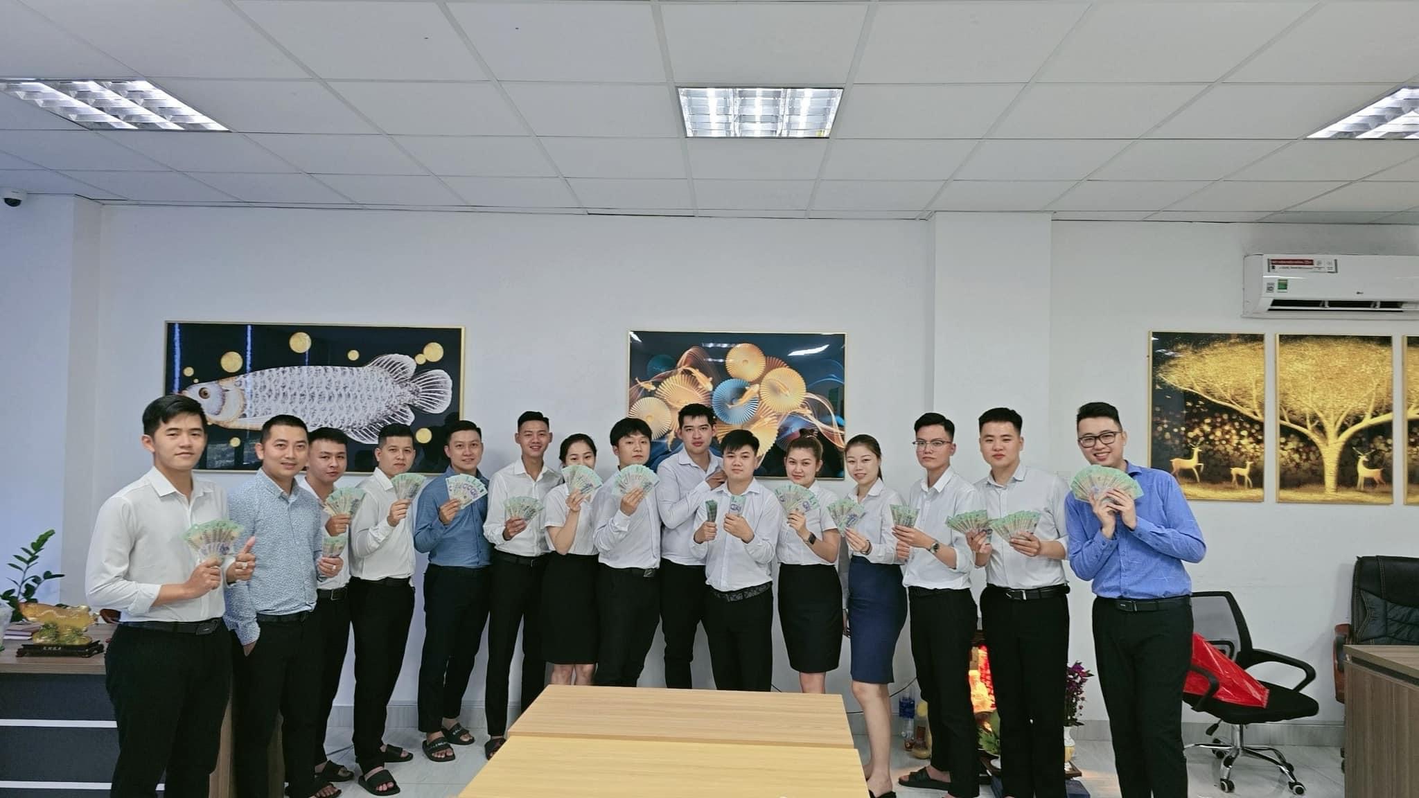 lĩnh vực hoạt động