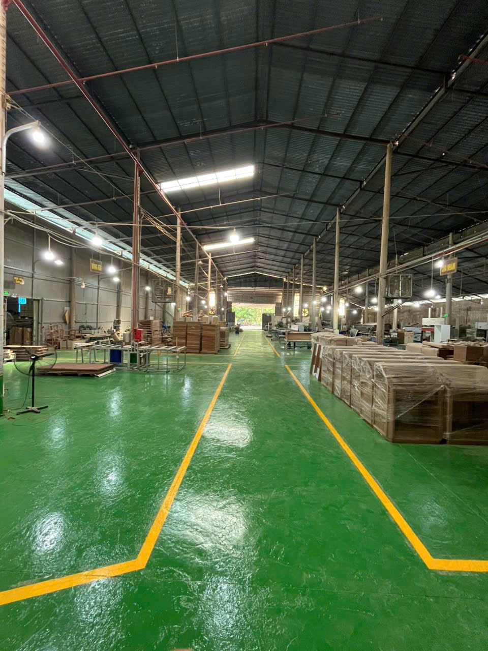 lĩnh vực hoạt động
