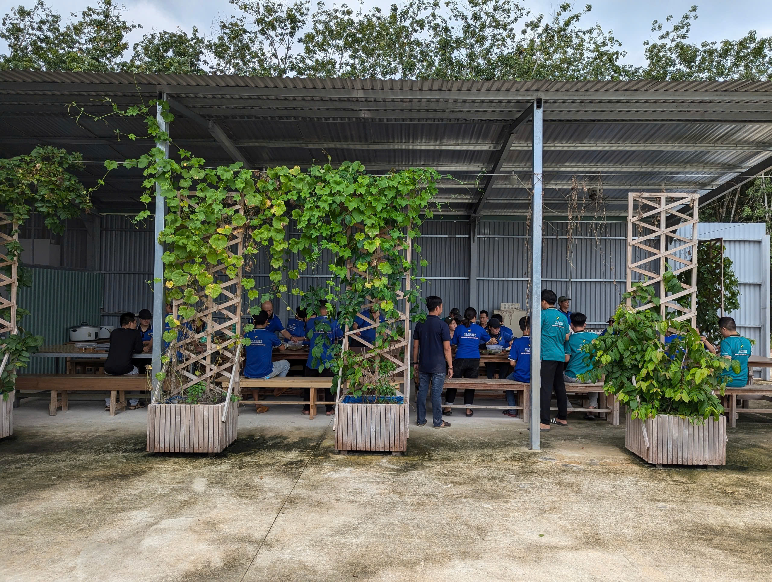 lĩnh vực hoạt động