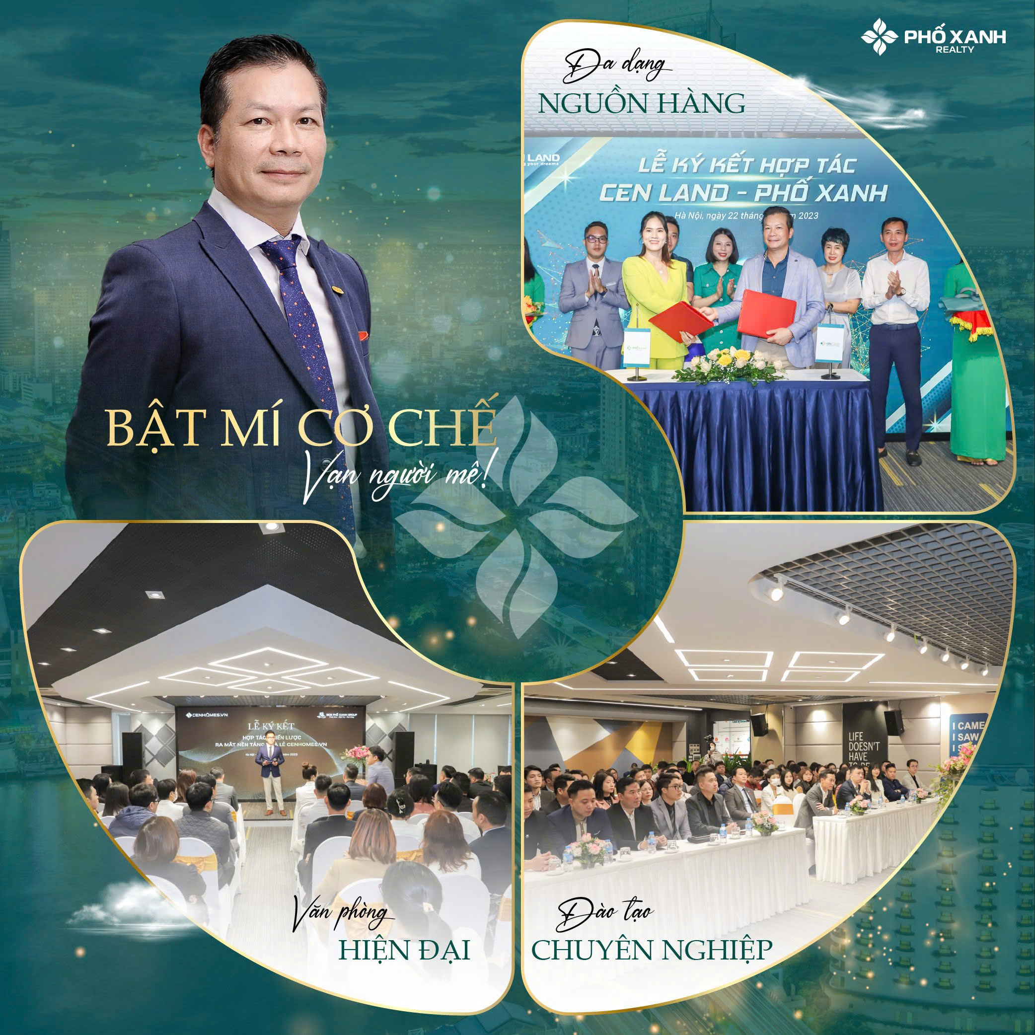 lĩnh vực hoạt động