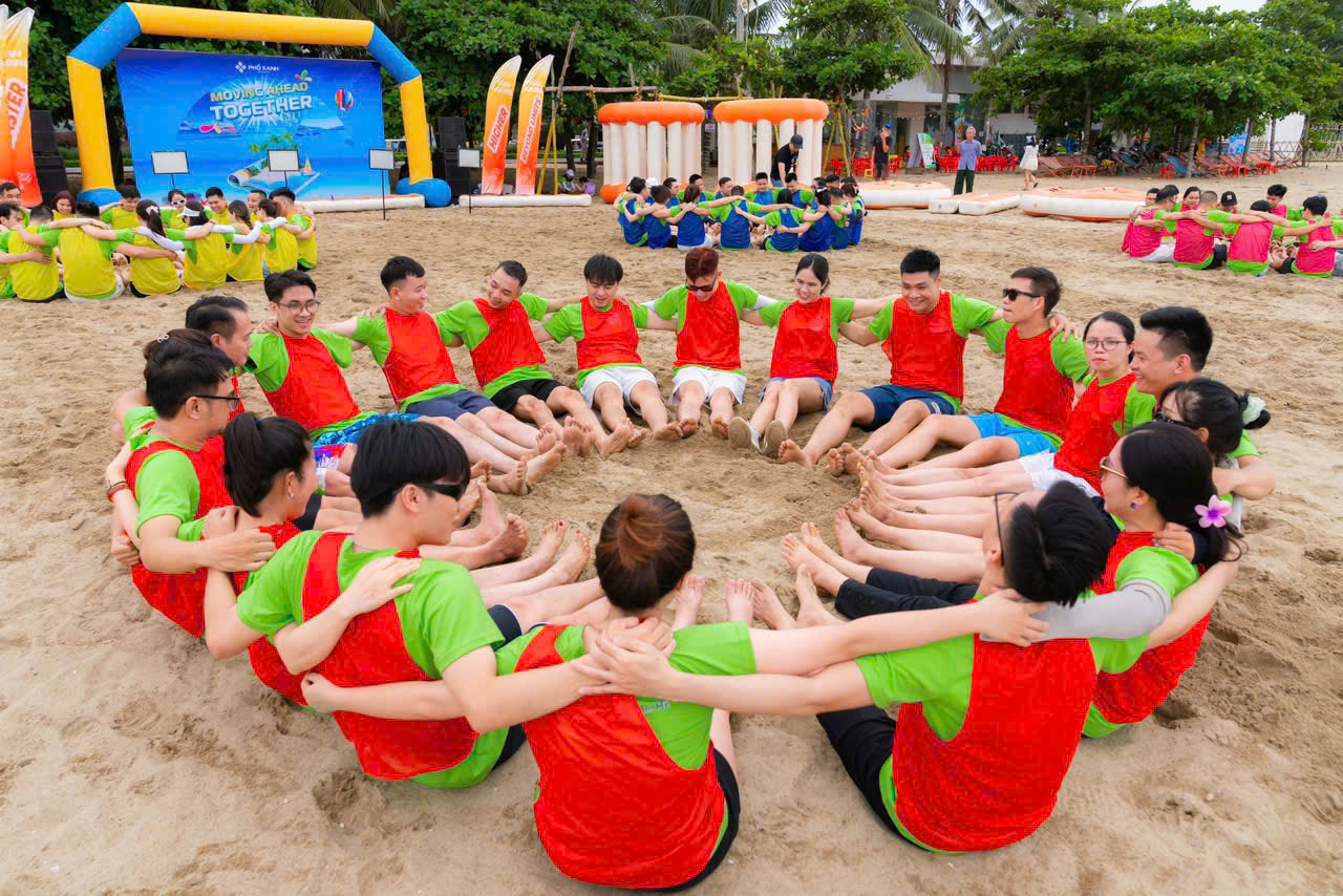 lĩnh vực hoạt động