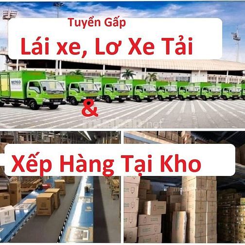 lĩnh vực hoạt động