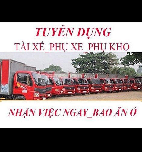 lĩnh vực hoạt động