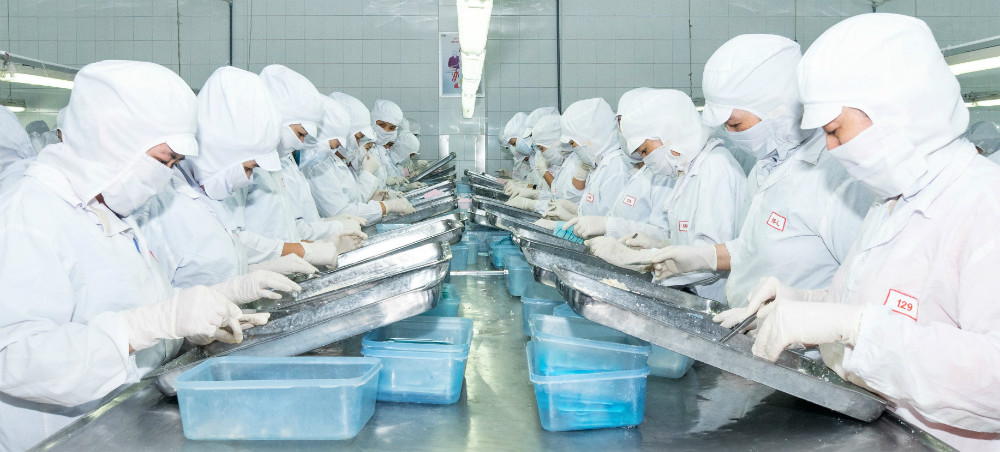 lĩnh vực hoạt động