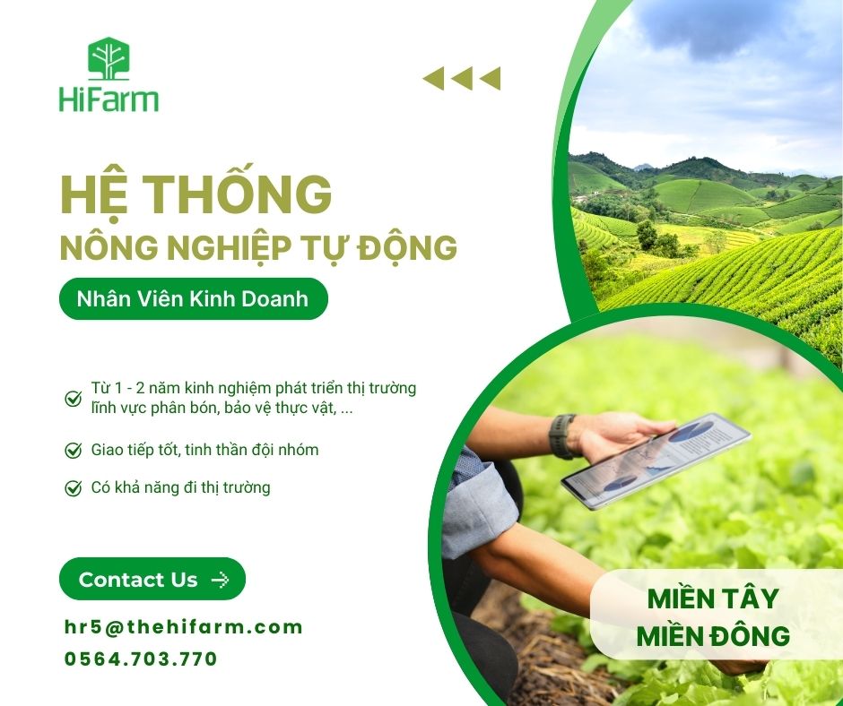 lĩnh vực hoạt động