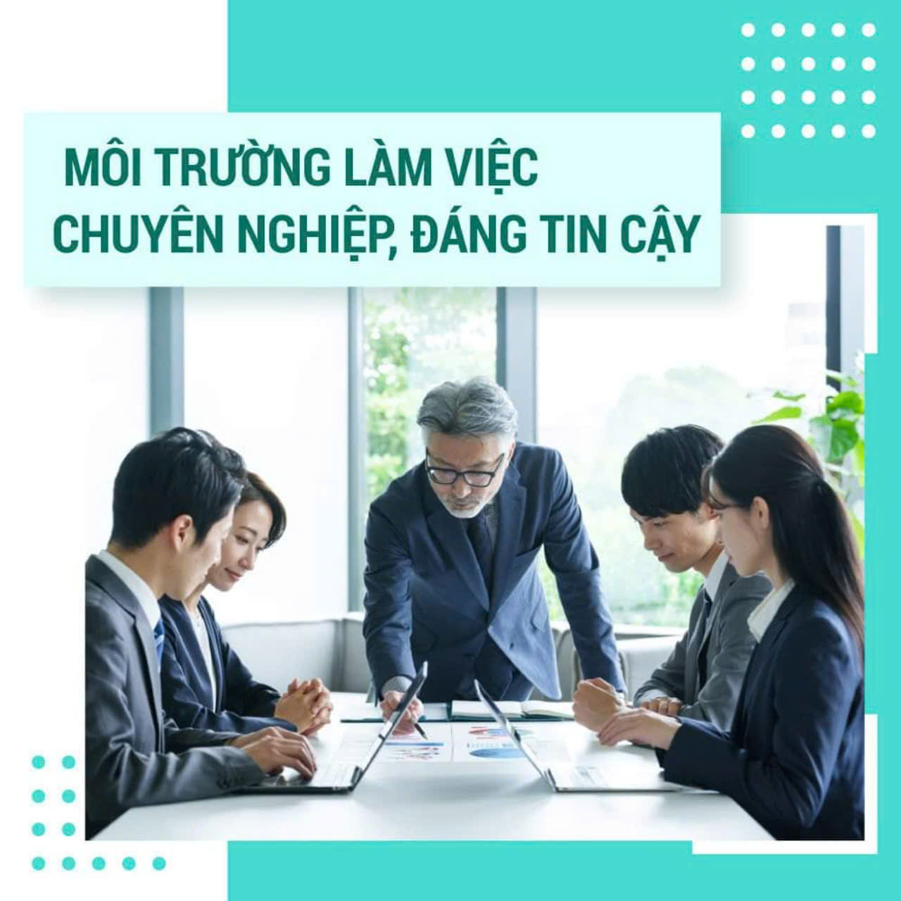 lĩnh vực hoạt động