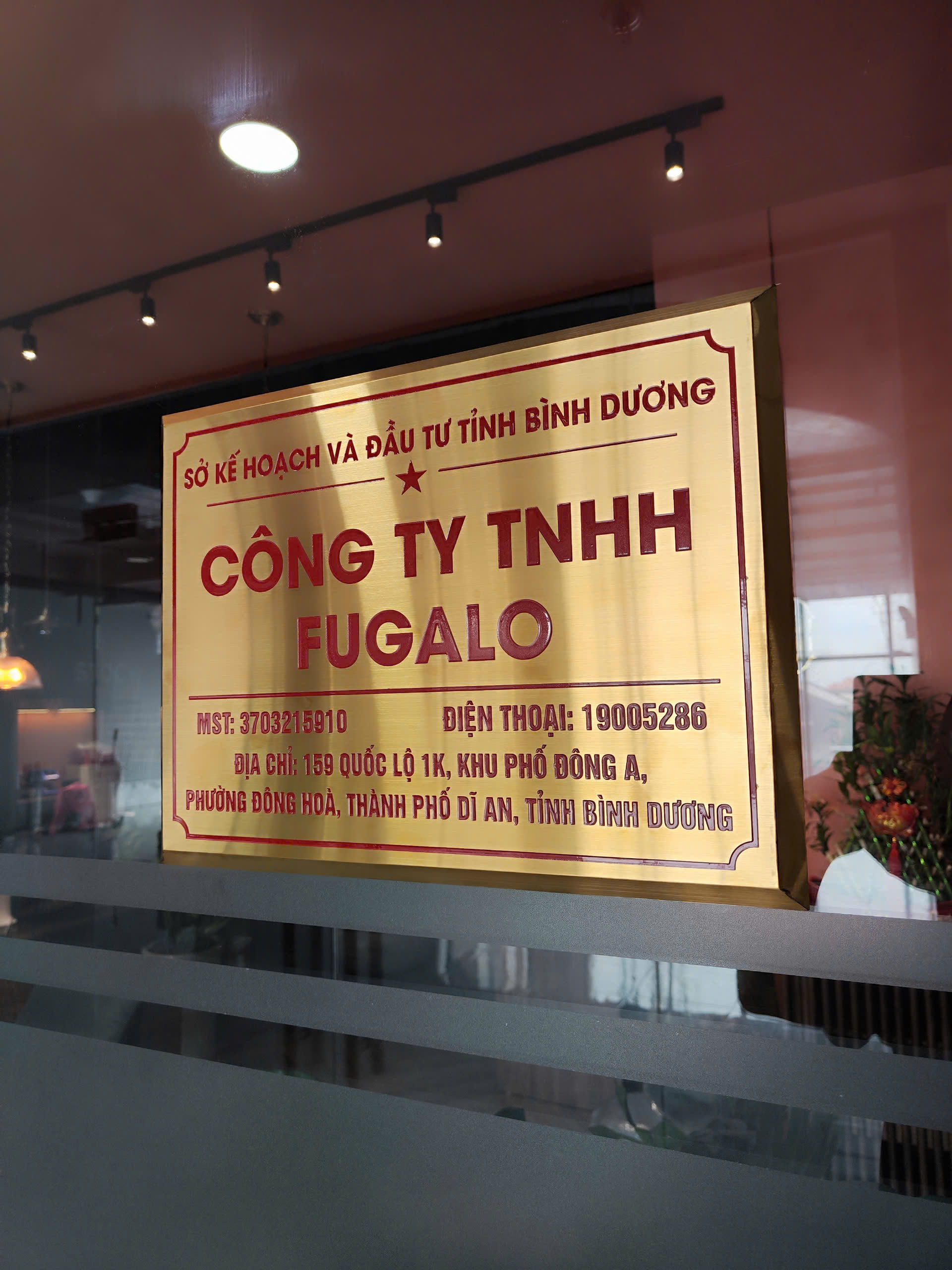lĩnh vực hoạt động