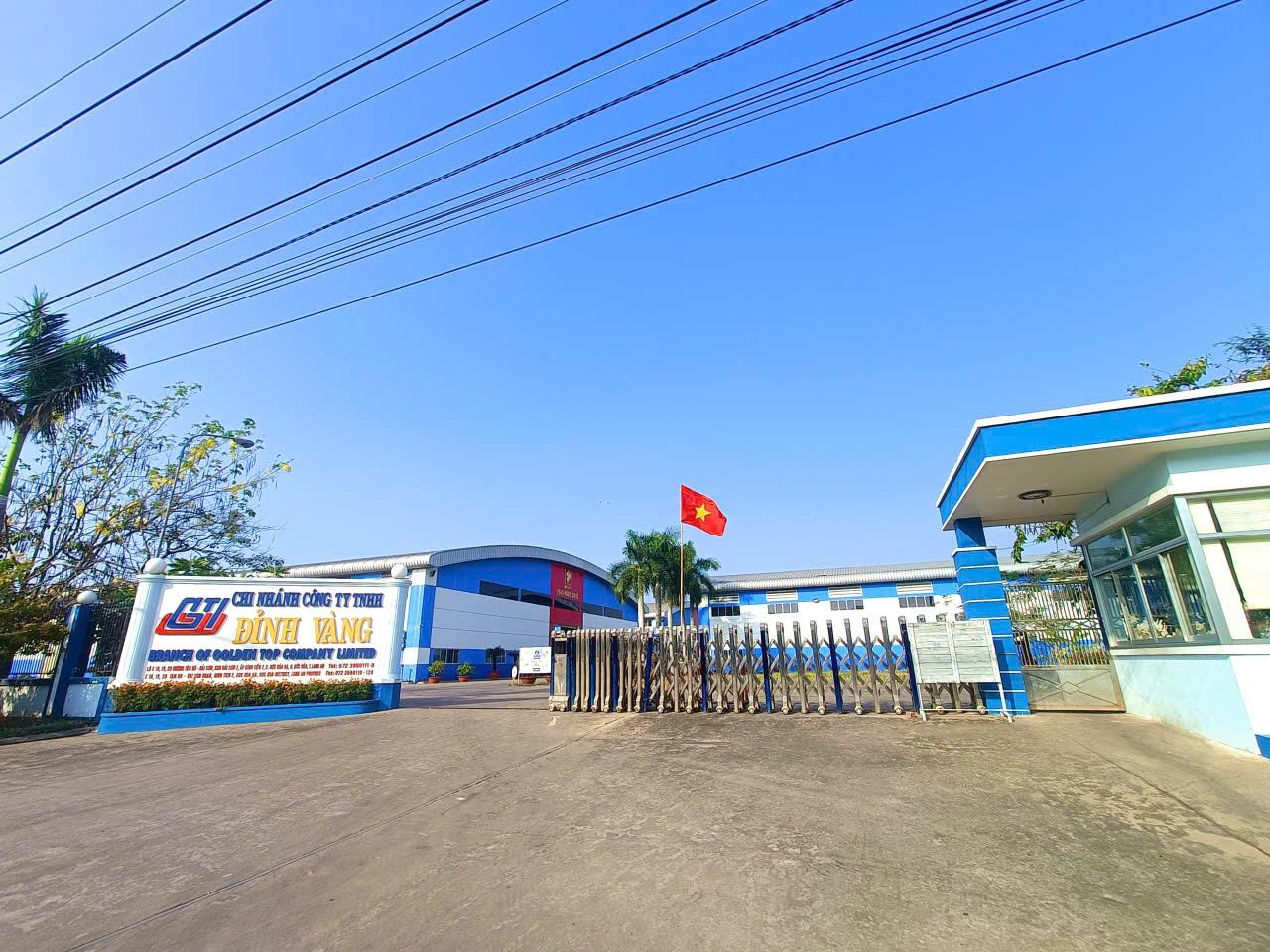 lĩnh vực hoạt động