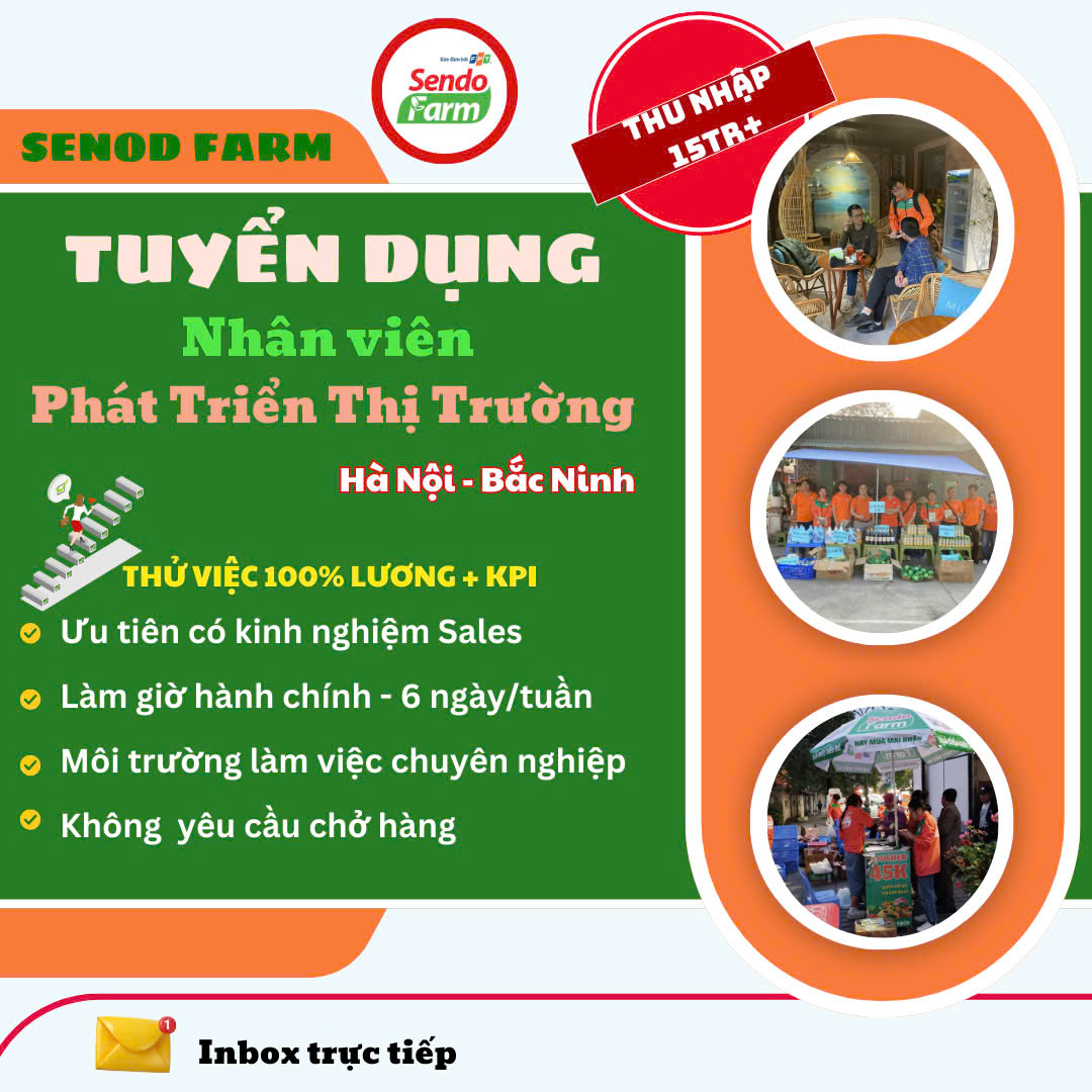 lĩnh vực hoạt động