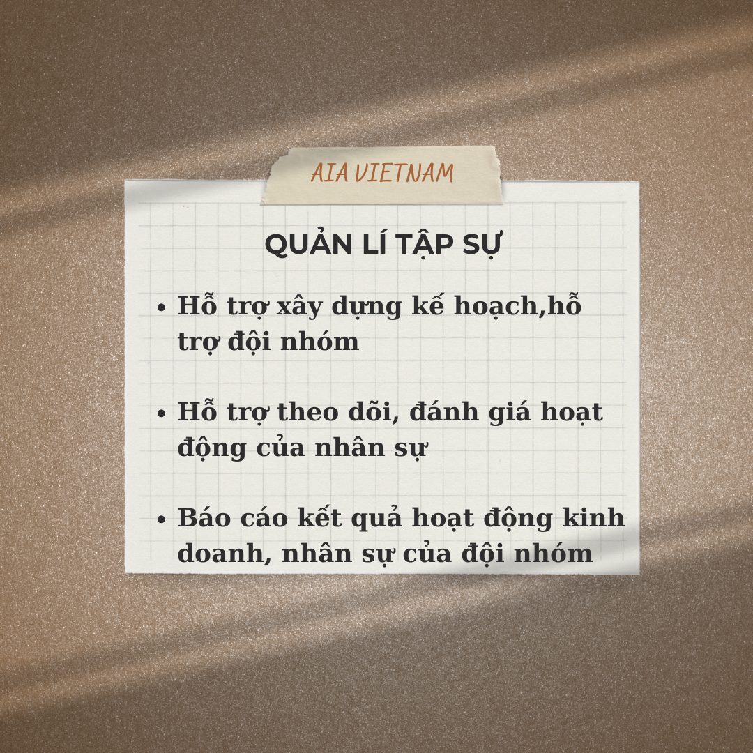 lĩnh vực hoạt động