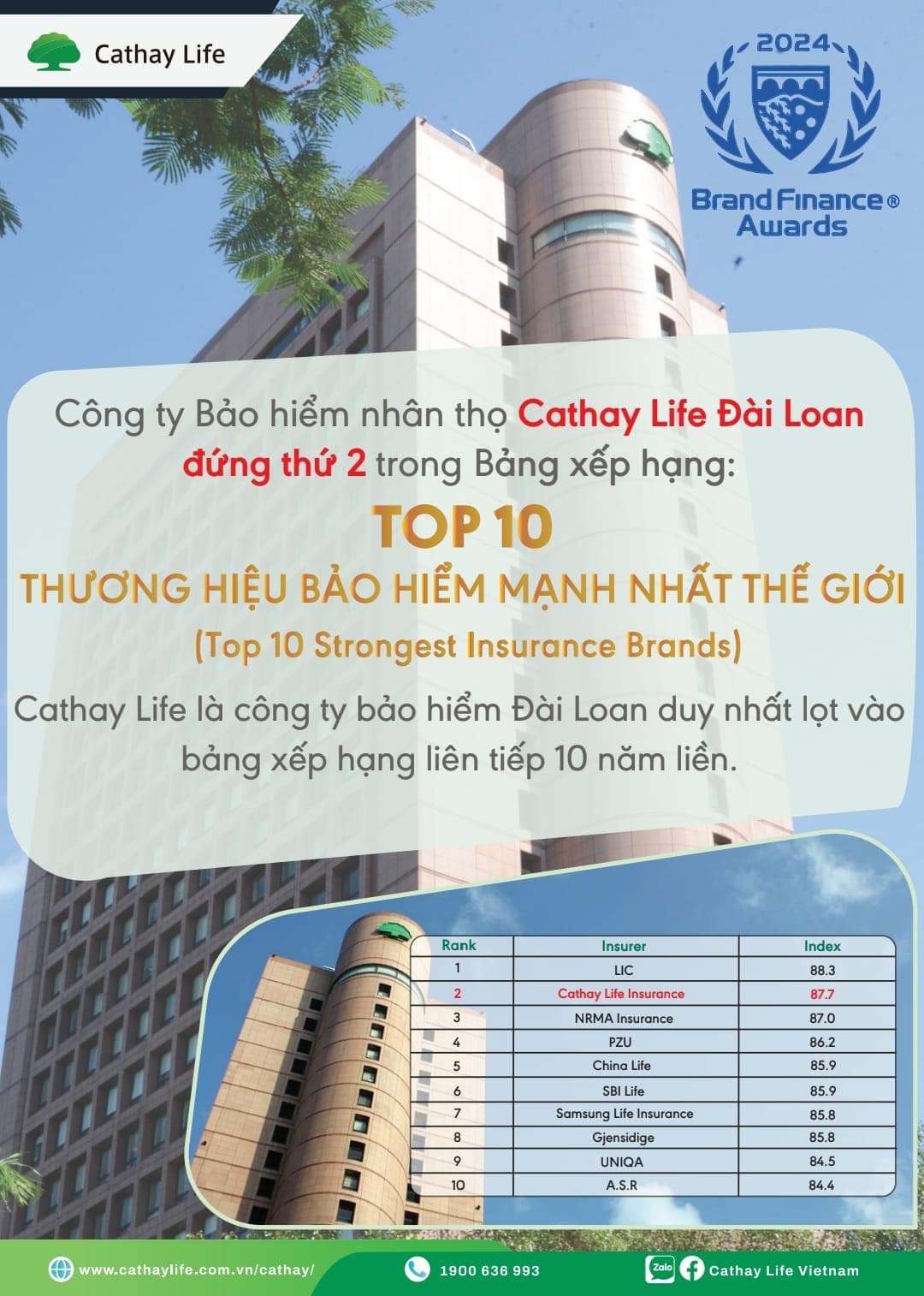 lĩnh vực hoạt động