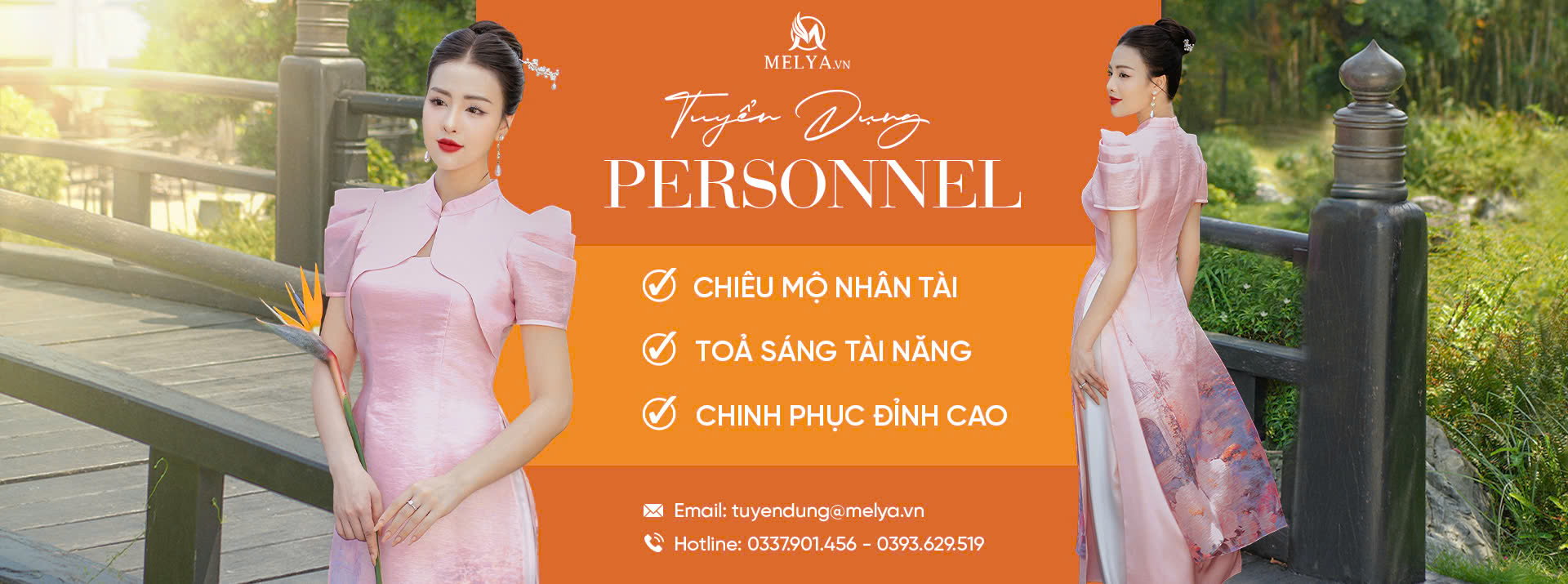 lĩnh vực hoạt động
