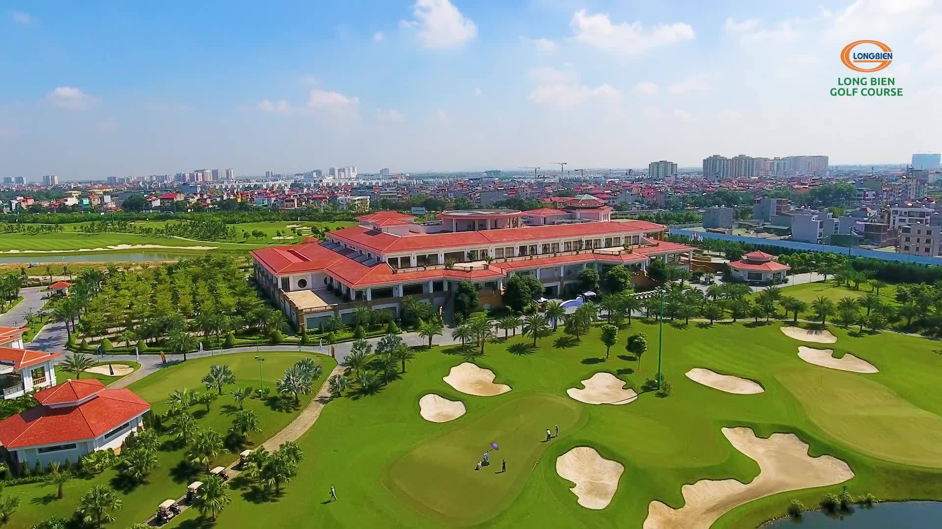 lĩnh vực hoạt động