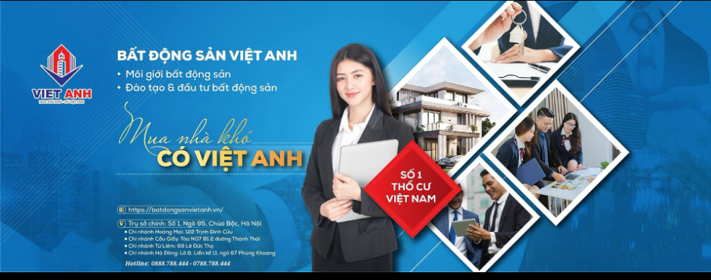 lĩnh vực hoạt động