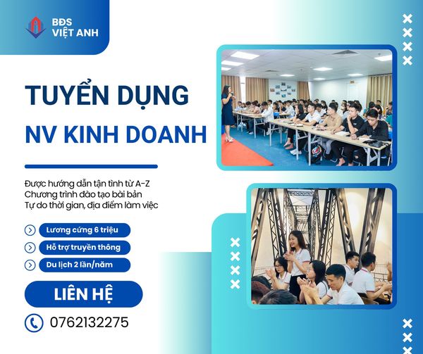 lĩnh vực hoạt động