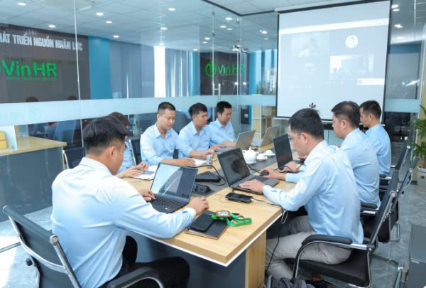 lĩnh vực hoạt động
