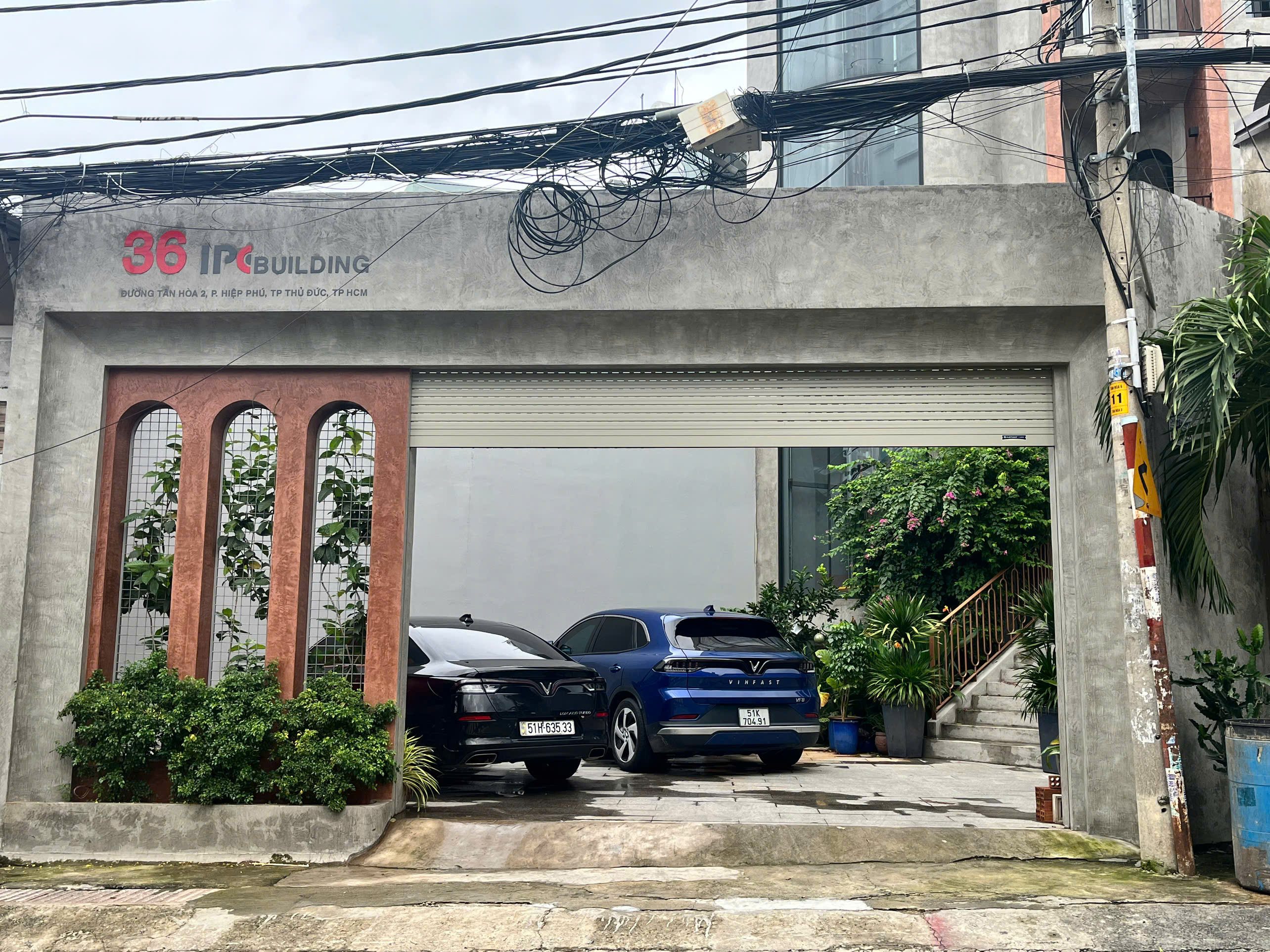 lĩnh vực hoạt động