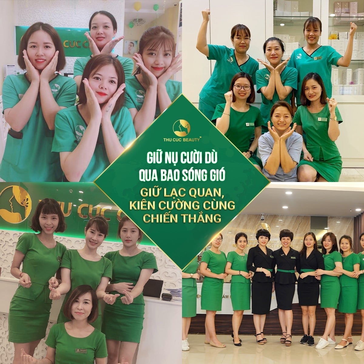 lĩnh vực hoạt động