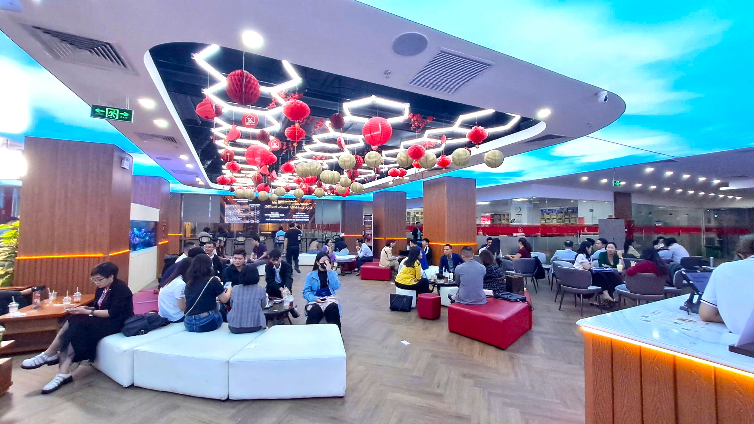 lĩnh vực hoạt động