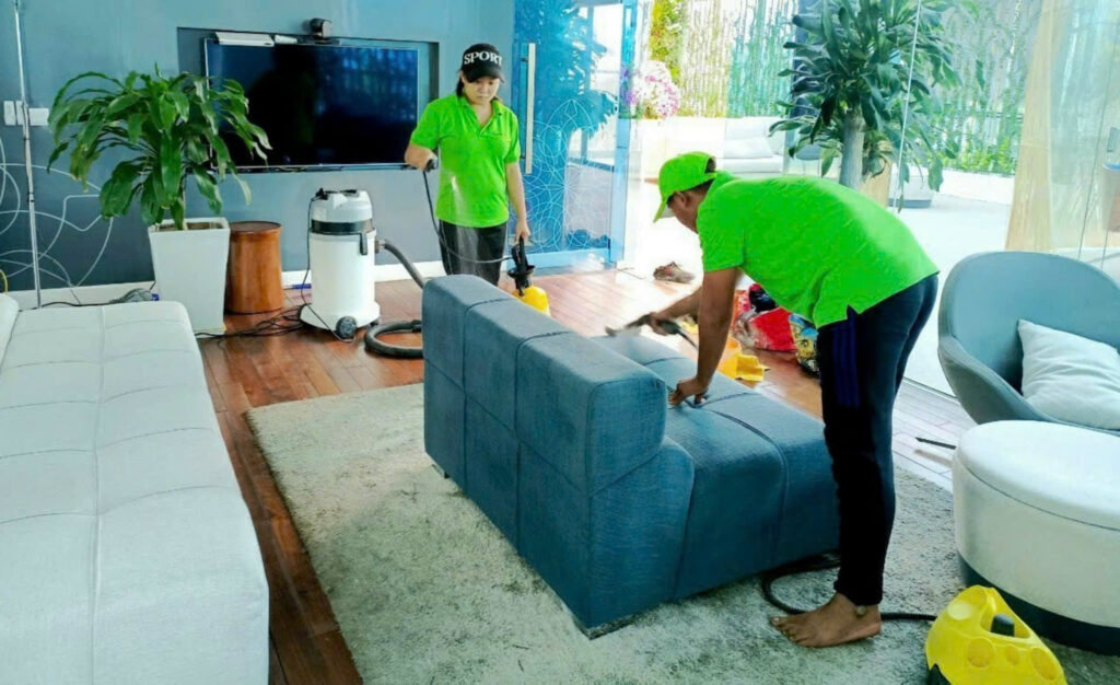 lĩnh vực hoạt động