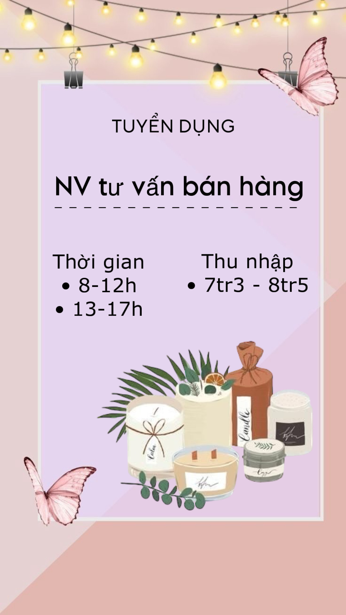 lĩnh vực hoạt động