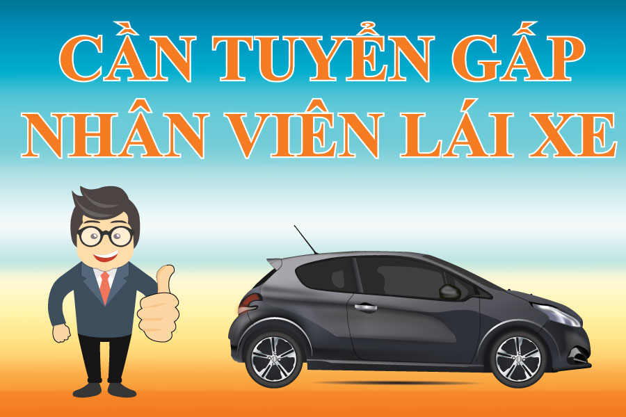 lĩnh vực hoạt động