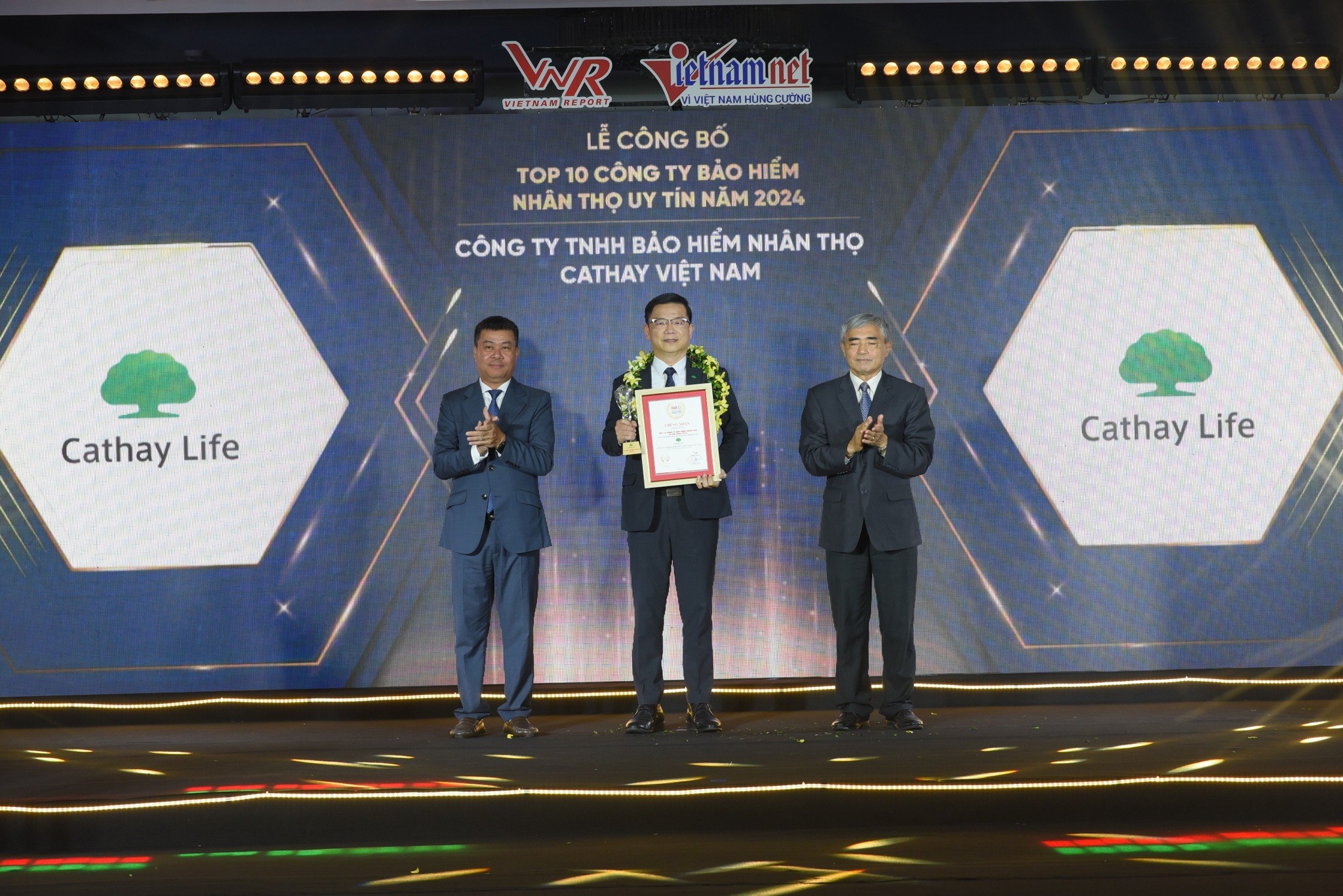 lĩnh vực hoạt động