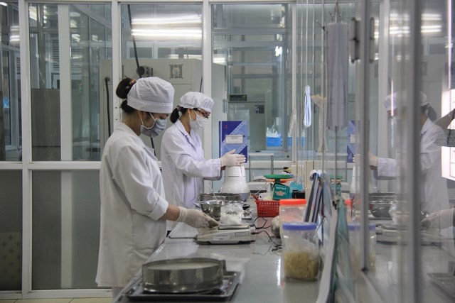 lĩnh vực hoạt động