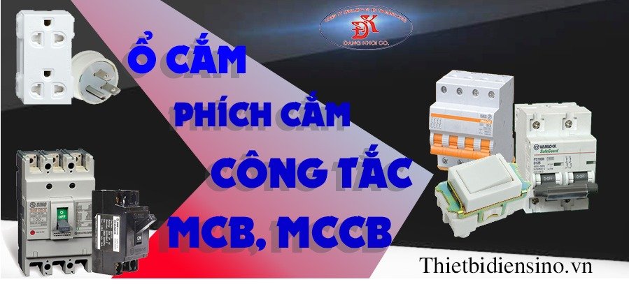 lĩnh vực hoạt động
