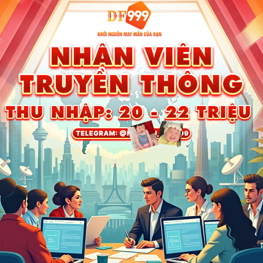 lĩnh vực hoạt động