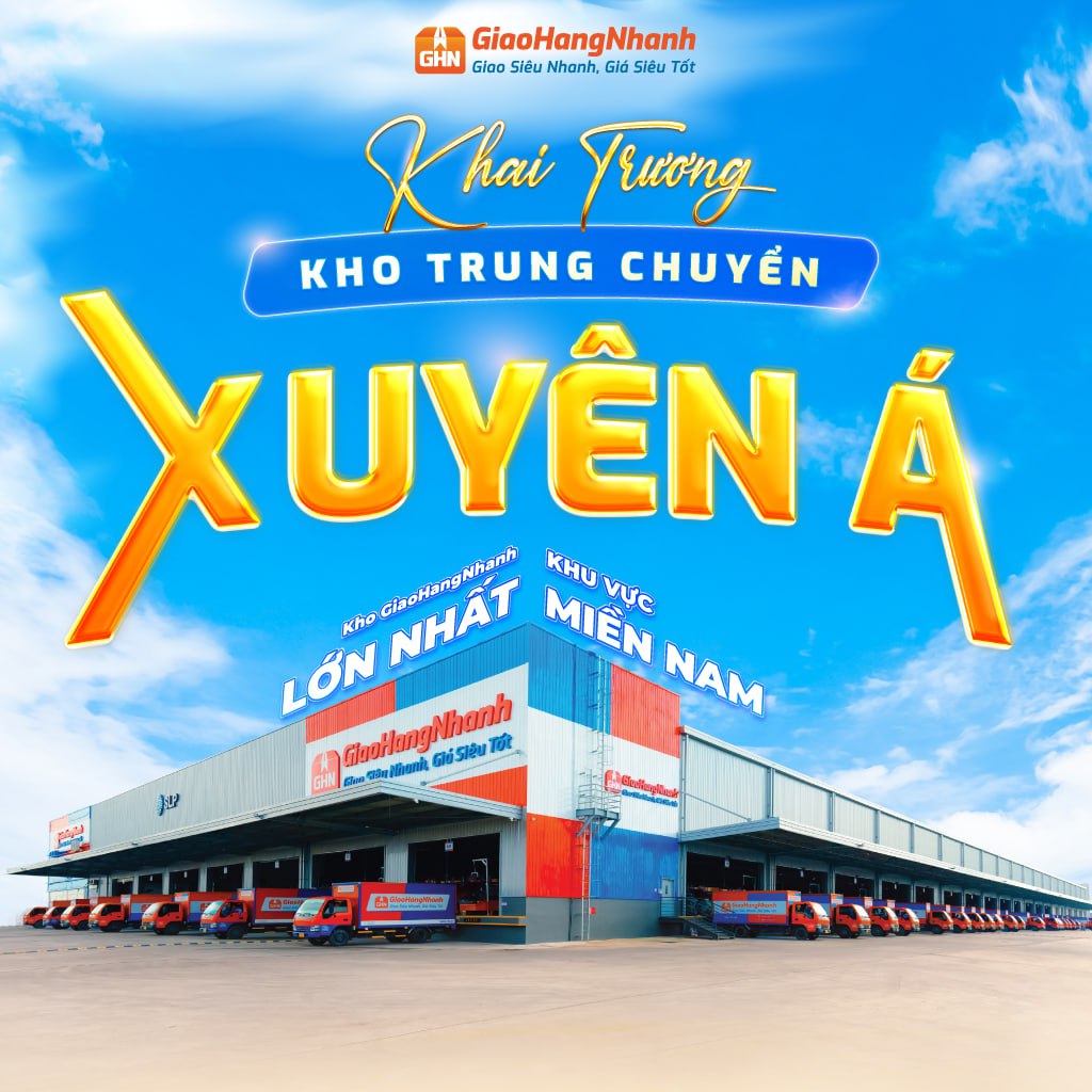 lĩnh vực hoạt động