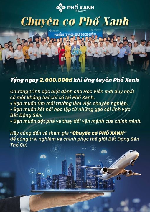 lĩnh vực hoạt động
