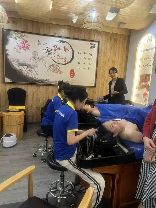 lĩnh vực hoạt động