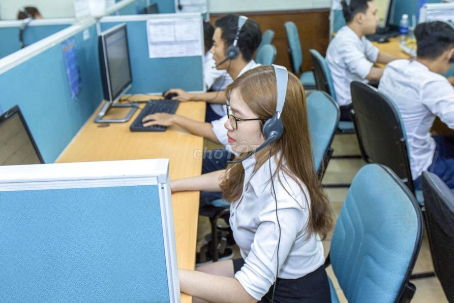 lĩnh vực hoạt động