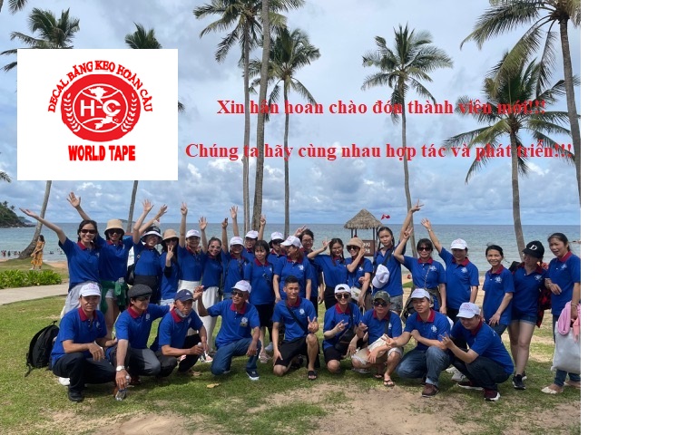 lĩnh vực hoạt động