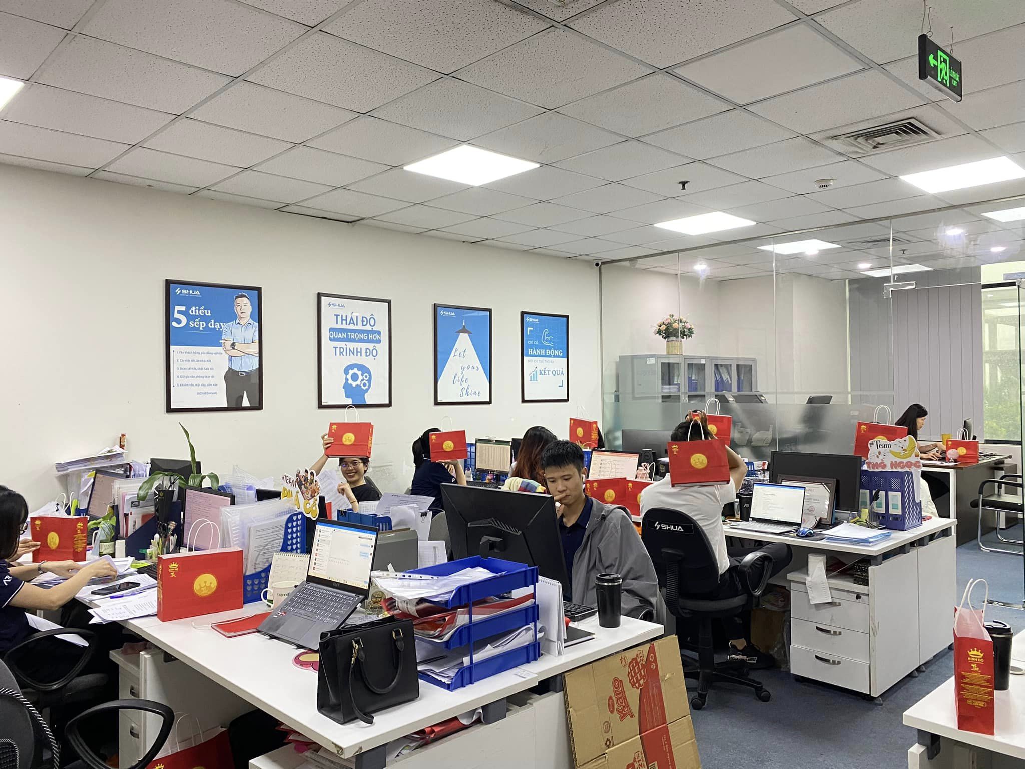 lĩnh vực hoạt động