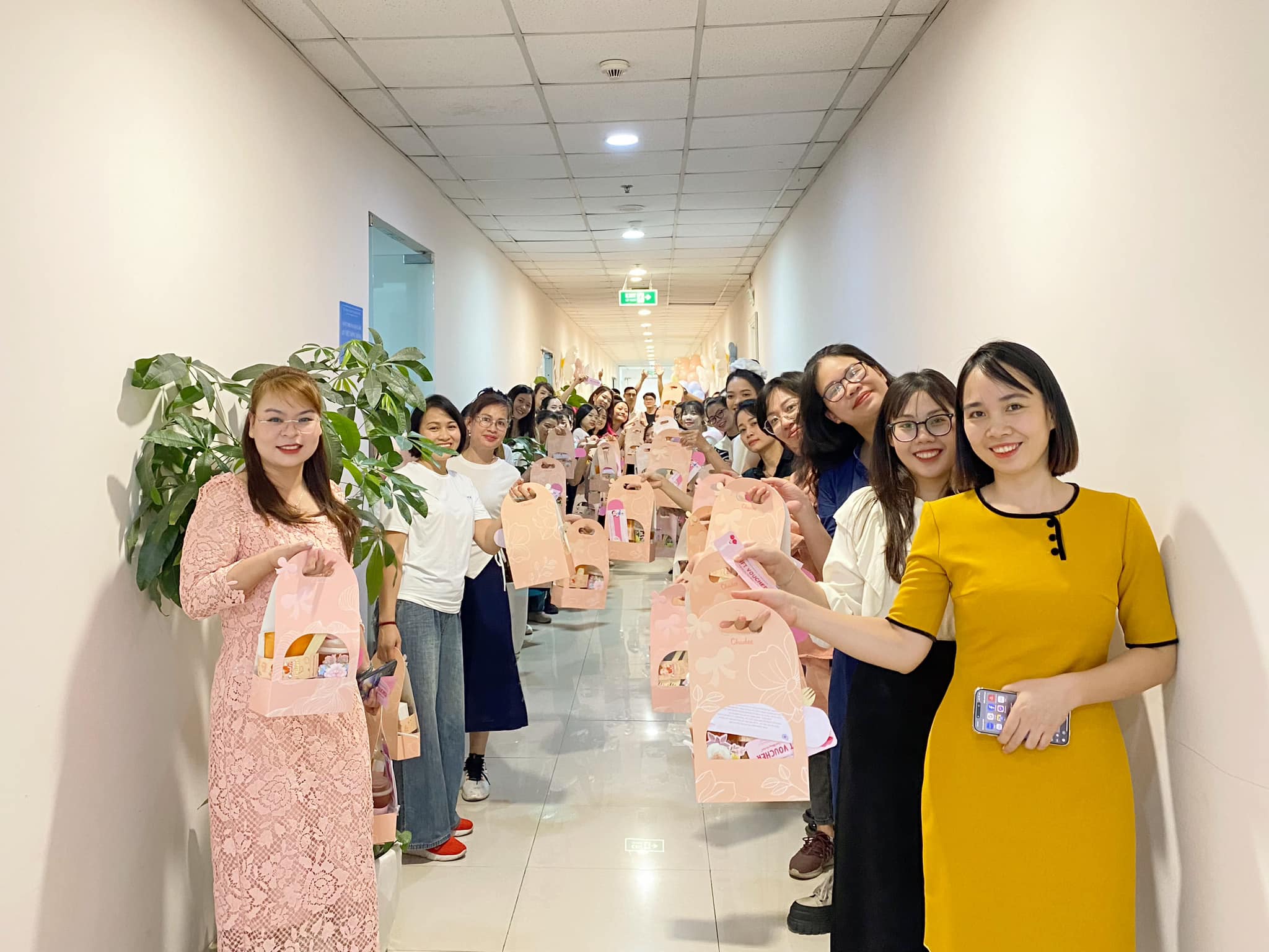 lĩnh vực hoạt động